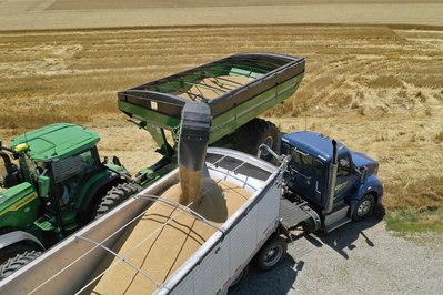 Unveferth 1019 1119 Auger Cart View